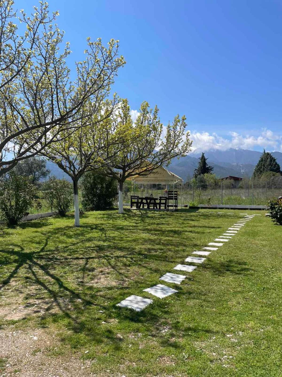 Cozy Villa Litochoro Exterior foto